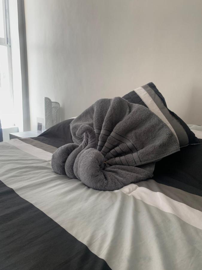 Hermoso Departamento En Coyoacan เม็กซิโกซิตี้ ภายนอก รูปภาพ